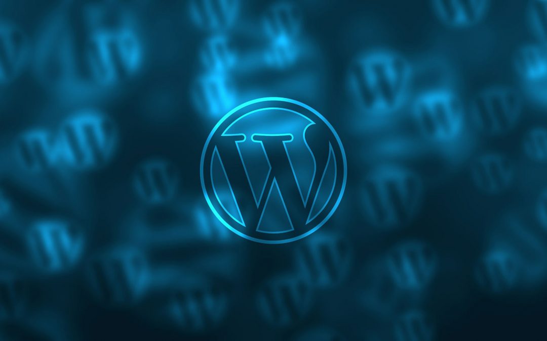 WordPress Theme and Plugin