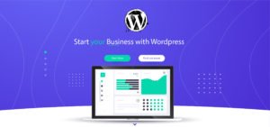 WordPress Web Development